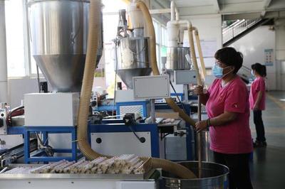 端午節(jié)家家戶戶門外掛的小艾草變成大產(chǎn)業(yè) 產(chǎn)品從河南遠(yuǎn)銷歐美