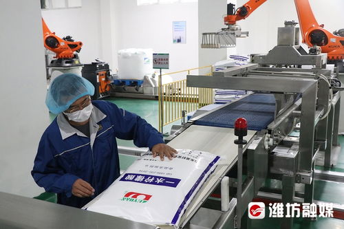 濰坊經(jīng)濟(jì)新看點(diǎn) 濰坊制造 掘金 一帶一路