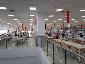 曾經(jīng)的思域車主參觀完?yáng)|風(fēng)本田工廠后,說(shuō)說(shuō)內(nèi)心復(fù)雜的感受 仕說(shuō)