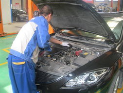 山東東駿達5.15服務實例深度解析 專業服務成就客戶信賴